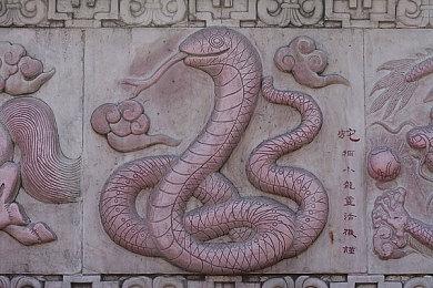 横尾太郎的起点！《龙背上的骑兵》或将迎来新动向