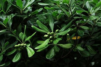 经典摔角综合格斗游戏 《周末勇士》登陆steam